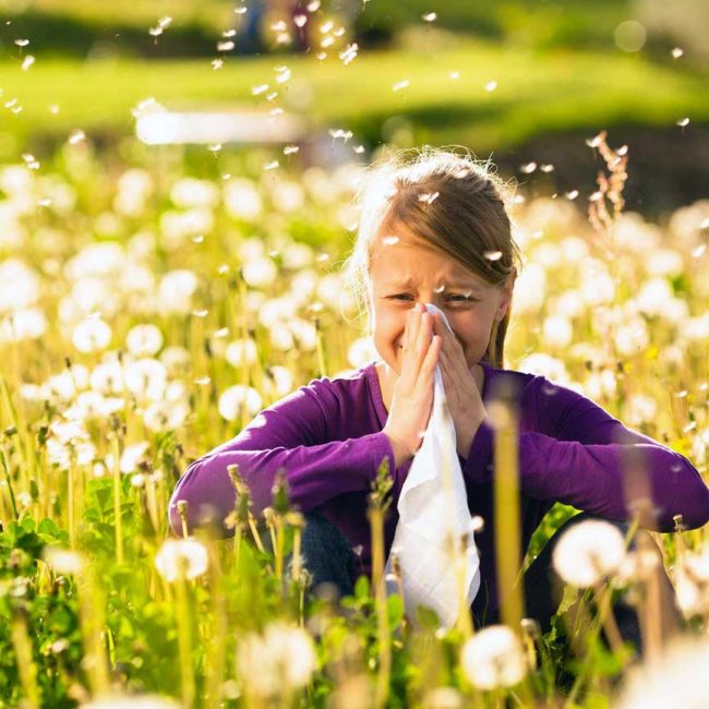 Allergien TCM Heuschnupfen