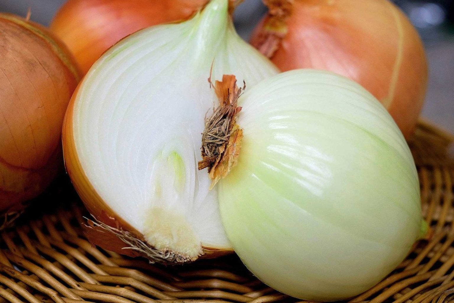 Die Zwiebel als Heilpflanze — Heilpraktikerin Gabi FischerLind
