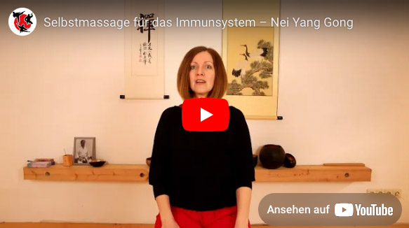 Ne Yang Gong – Vorschaubild Video