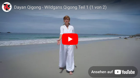Wildgans Qigong Teil 1 – Vorschaubild Video