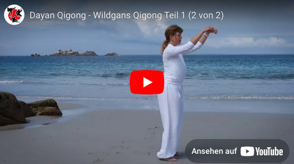 Wildgans Qigong Teil 2 – Vorschaubild Video