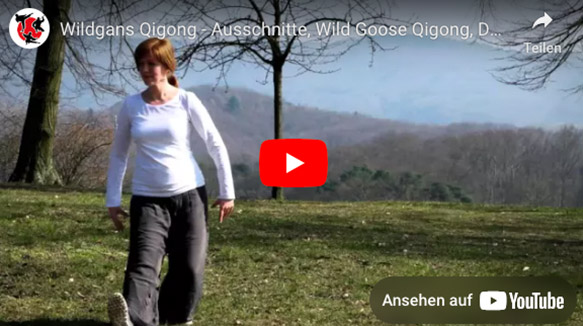 Wildgans Qigong – Vorschaubild Video