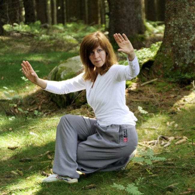 Wildgans Qigong Gabi Fischer-Lind