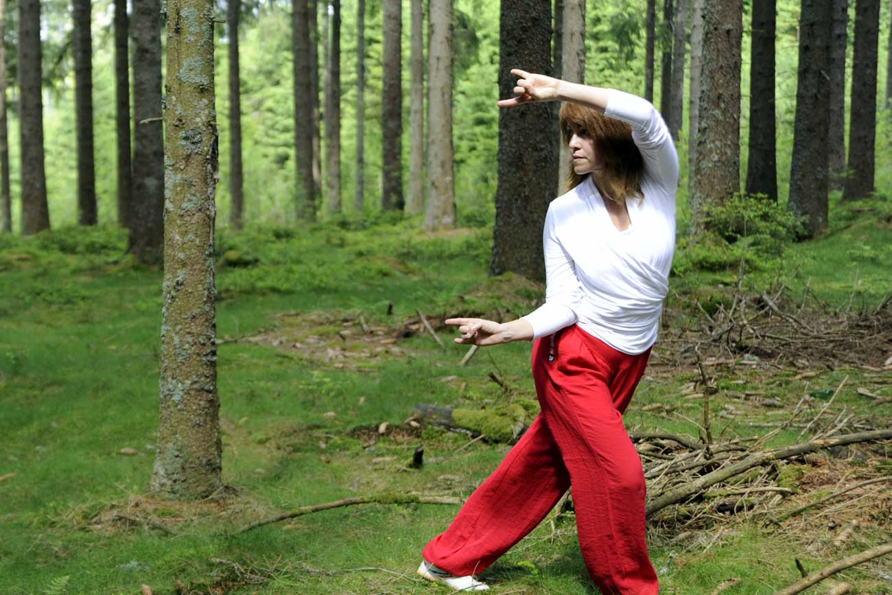 Qigong - Das Spiel der Tiere – Wu Qin Xi